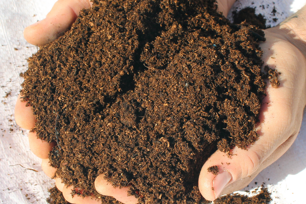 Multi Purpose Compost Premium Topsoil Supplies